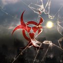   , , 30  -  9  2018   25-