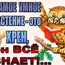 ���� �����, ������-��-���� - ��������� 7 ���� 2018 � ������ ������ ��������