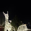 ���� ������, ������, 66 ��� - ��������� 17 ������� 2018 � ������ ���������� �������. ������.�
