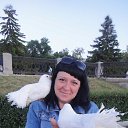 ���� ������, ������, 58 ��� - ��������� 27 ��� 2018 � ������ ���� ����������