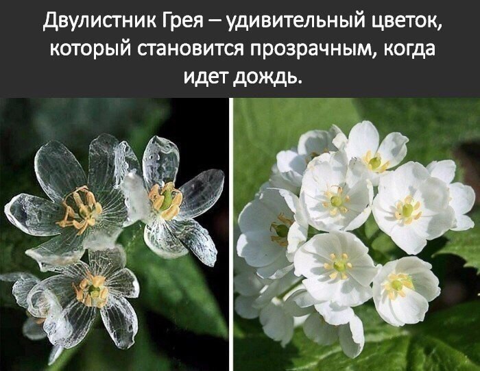 ���U��ʠ - 4