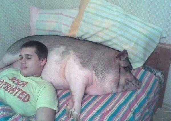 ��� ���� - 30 ������ 2017 � 11:22