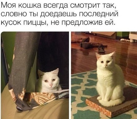    - 23  2018  03:45