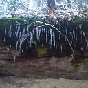 ���� ������, ����, 65 ��� - ��������� 18 ������ 2018 � ������ �2017�