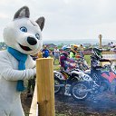 ���� �������, ����������, 47 ��� - ��������� 8 ���� 2018 � ������ ������ ��������