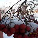 ���� �������, ������ - ��������� 28 ����� 2018 � ������ ���� ����������