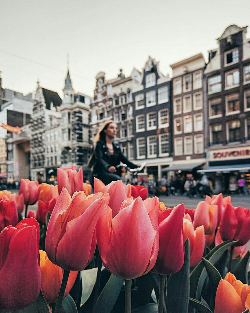 Amsterdam, The Netherlands - 2