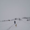 ���� ��������, ������������, 63 ���� - ��������� 17 ������ 2018 � ������ �����