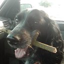 ���� ����, �����������, 46 ��� - ��������� 25 ����� 2018 � ������ ���� ����������