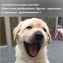 ���� �������, ������ ��������, 39 ��� - ��������� 9 ����� 2018 � ������ ���� ����������