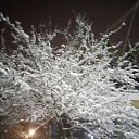 ���� �����, ������, 69 ��� - ��������� 5 ������� 2018 � ������ ������ ��������