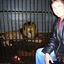 ���� �����, ������, 63 ���� - ��������� 15 ������ 2018 � ������ ���� ����������