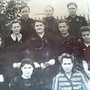 ��������� ������� ����������� ������ 1953� �� ������� ���� ����������