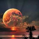 ���� ����, ������ - ��������� 29 ��� 2018 � ������ ���� ����������