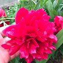  , , 46  -  10  2018   :)))