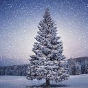 ���� Gunay, ���� - ��������� 14 ������� 2017 � ������ ������ ��������