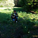 ���� ������, ���� - ��������� 17 ����� 2018 � ������ ������