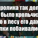 ���� ����, �����-���������, 44 ���� - ��������� 9 ���� 2018 � ������ ���� ����������