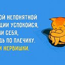 ���� ������, �����-���������, 55 ��� - ��������� 1 ������� 2018 � ������ ������ ��������