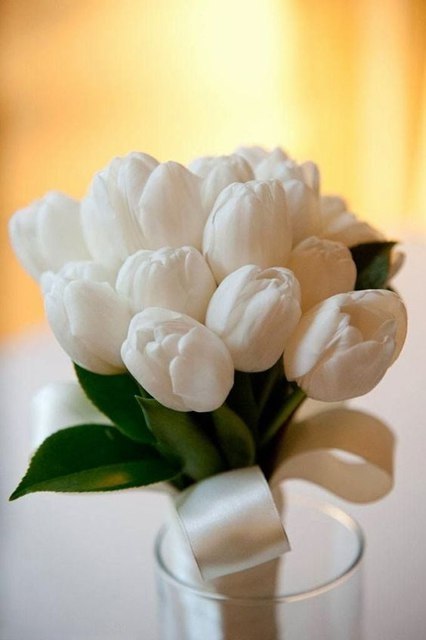  ))). -             . ... - 2