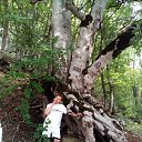 ���� ������, ����, 50 ��� - ��������� 20 ����� 2018 � ������ ���� ����������