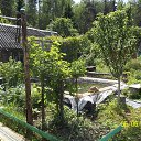 ���� ����, �������� - ��������� 28 ������ 2017 � ������ ���� ����������