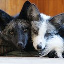 ���� �����, ������� - ��������� 11 ������ 2018 � ������ ������ ��������