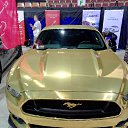 ���� �������, ��������, 39 ��� - ��������� 24 ���� 2018 � ������ ��������