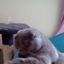 ���� Marusia, ������, 55 ��� - ��������� 10 ���� 2018 � ������ �Sonia�