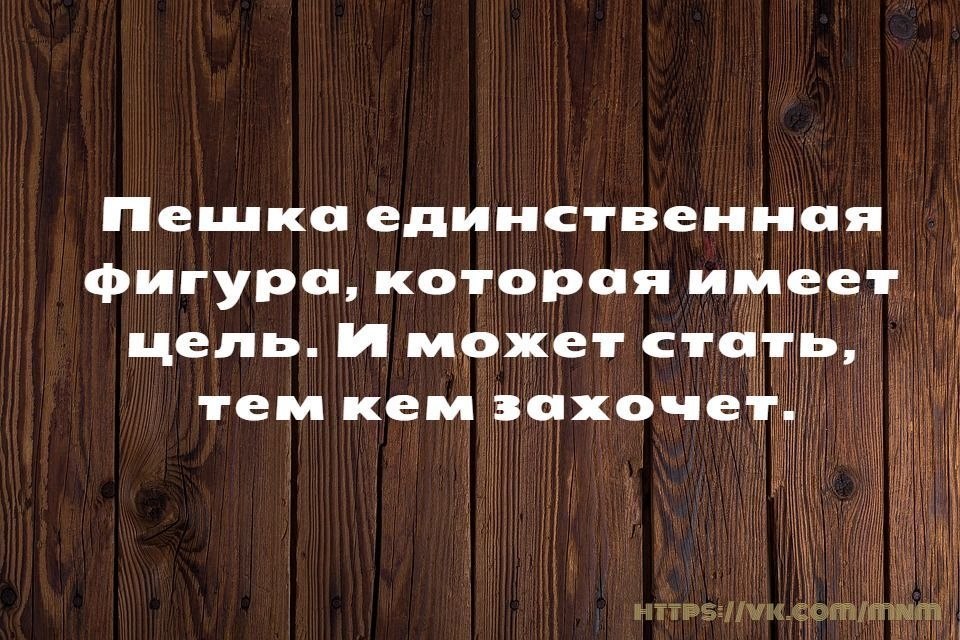    - 25  2018  03:03