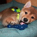 ���� �����, �����-���������, 56 ��� - ��������� 5 ������ 2018 � ������ ������ ��������