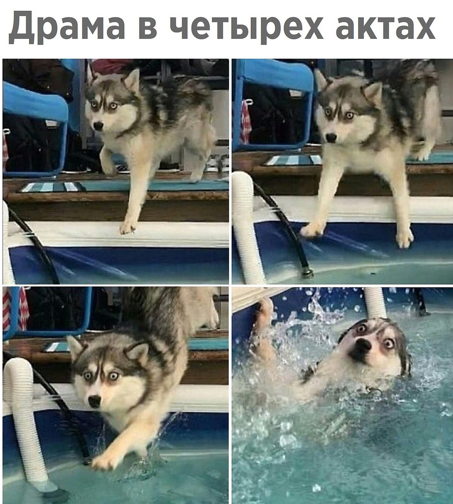   - 5  2018  03:36
