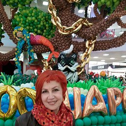 �������, ���������, 66 ���