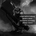 ���� �������, ���������, 46 ��� - ��������� 8 ���� 2018 � ������ ������ ��������