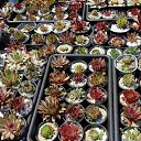 ���� Raisa, ������ - ��������� 3 ���� 2018 � ������ ������ ��������