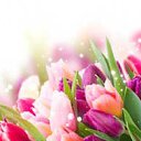 ���� �����, ������, 53 ���� - ��������� 30 ������ 2018 � ������ ������ ��������