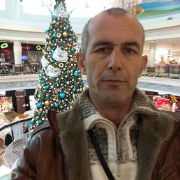 ����, ������������, 85 ���