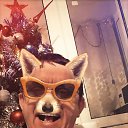���� Petr, �����-���������, 63 ���� - ��������� 27 ������� 2017 � ������ ���� ����������