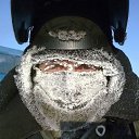 ���� ������, ������ - ��������� 8 ������ 2018 � ������ ���� ����������