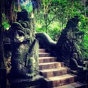 ����� �����,���� ��� ���� �� ������� ������ ��������