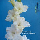 ���� �����, ������ - ��������� 13 ���� 2018 � ������ ���� ���������