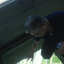 ���� ������, �����-���������, 56 ��� - ��������� 12 ��� 2018 � ������ ���� ����������