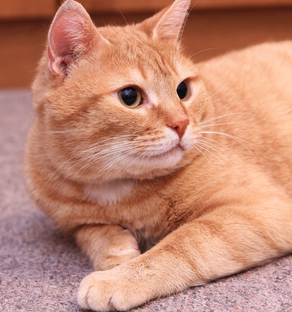  - 31  2018  05:26 - 3