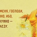 ���� ������, ������, 66 ��� - ��������� 26 ������ 2017 � ������ ������ ��������