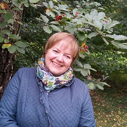 ������� 2017