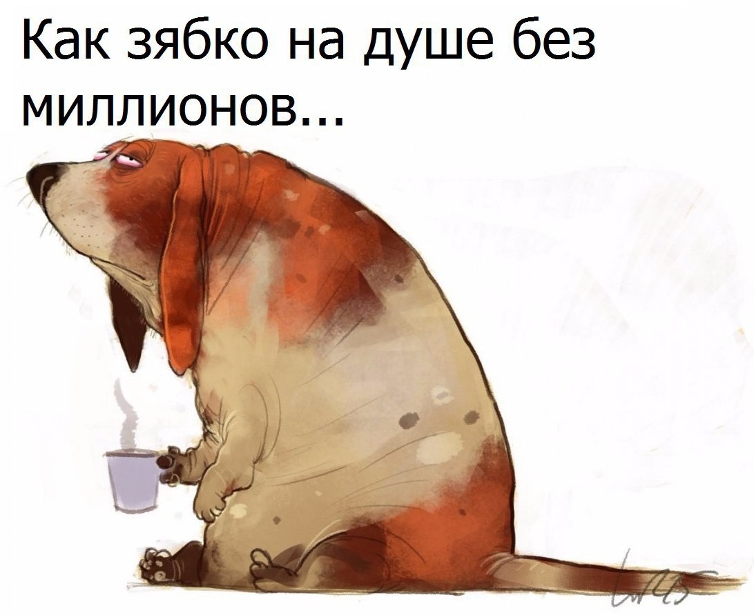   - 13  2018  03:56