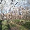 ���� �������, ��������, 46 ��� - ��������� 10 ������ 2018 � ������ ���� �����