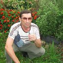 ���� ������, ��������, 65 ��� - ��������� 20 ������ 2017 � ������ ���� ����������