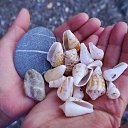 ���� ������, ������, 50 ��� - ��������� 20 ������ 2018 � ������ ���� ����������