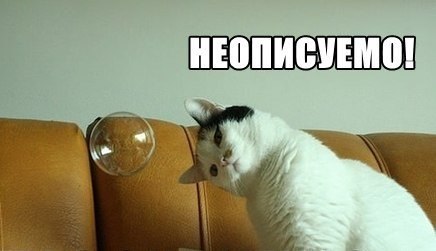 ���� �� ������� �����������, ��� ���� ���������� �� �������� ��������������, �� ��� ����� �������� ...